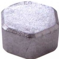 TAMPAO FEMEA GALVANIZADO       1″  F300