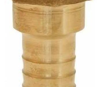 CASQUILHO FEMEA    LATAO PP   1″