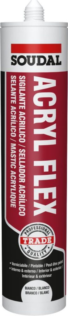 161970 MASTIC ACRYLFLEX BR.300ML