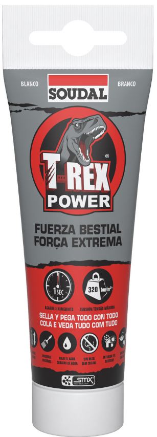 152628 T-REX POWER BRANCO         125ML