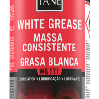 WG171 SPRAY MASSA CONSISTENTE     400ML