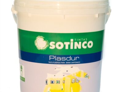 291300501 PLASDUR      BRANC  5L&