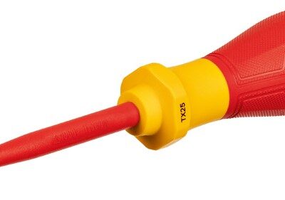 1600A02NC8 CH.VDE TORX TX25x100MM
