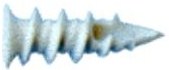 TAPLANY BUCHA NYLON P/PLADUR