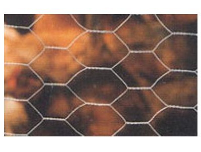 REDE HEXAGONAL GALVANIZ.50MT 25x 800MM$